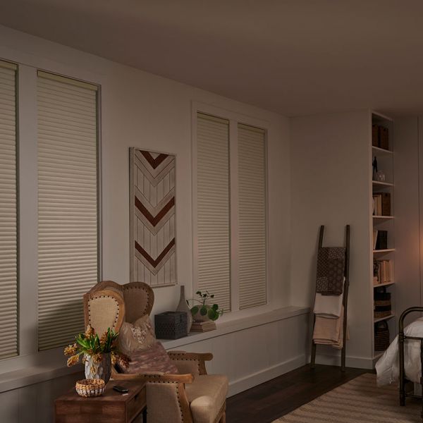Discover More from Somfy, Custom Window Treatments