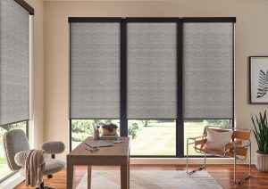 Roller Shades for the home office